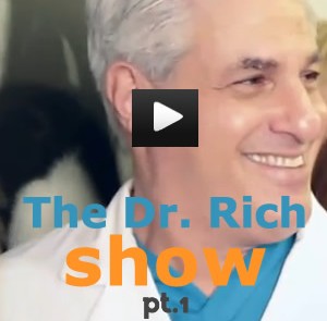 the dr. rich show