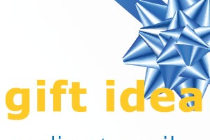 gift idea